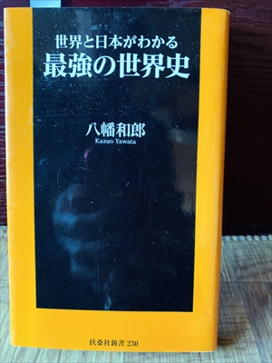1145_八幡和郎_世界と日本がわかる最強の世界史_扶桑社