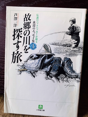 1300_芦澤一洋_水辺のエッセイ集・故郷の川を探す旅_小学館