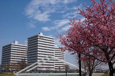 1076_新横浜公園_神奈川