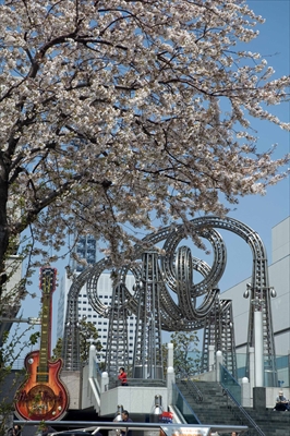 1003_なとみらい_神奈川