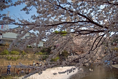 1124_岸根公園_神奈川