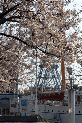 1005_なとみらい_神奈川