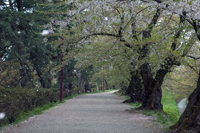 1005_弘前公園_青森
