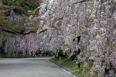 1006_弘前公園_青森