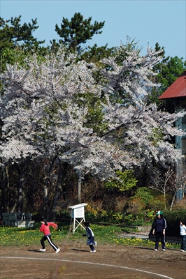 1020_野辺地_青森