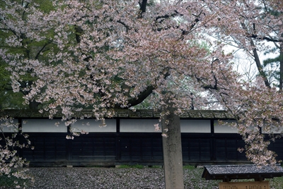 1007_弘前公園_青森