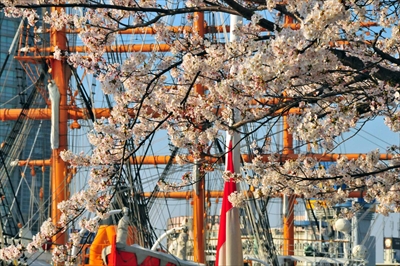 なとみらい_神奈川