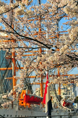 1020_なとみらい_神奈川