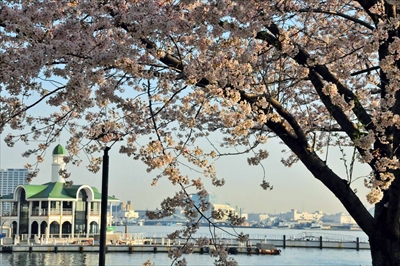 1024_なとみらい_神奈川