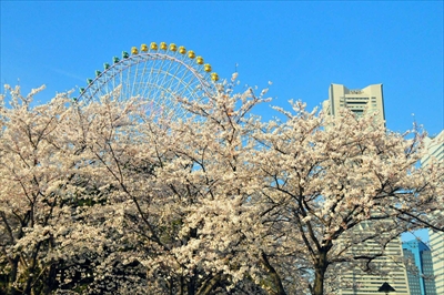 1031_なとみらい_神奈川