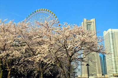1033_なとみらい_神奈川