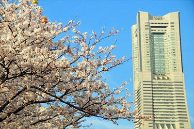 1034_なとみらい_神奈川