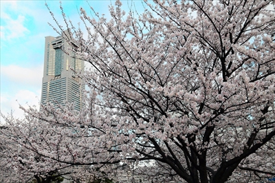 1041_なとみらい_神奈川