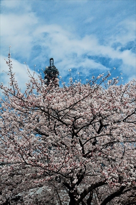 1043_なとみらい_神奈川