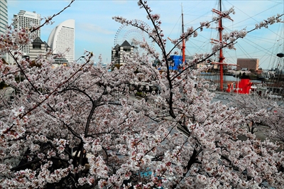 なとみらい_神奈川