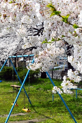 北上展勝地_岩手