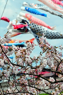 1003_北上展勝地_岩手