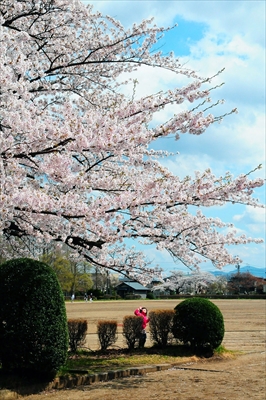 1021_水沢公園_岩手
