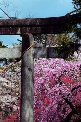 1033_陸中一宮駒形神社_岩手