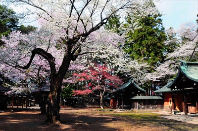 1036_陸中一宮駒形神社_岩手