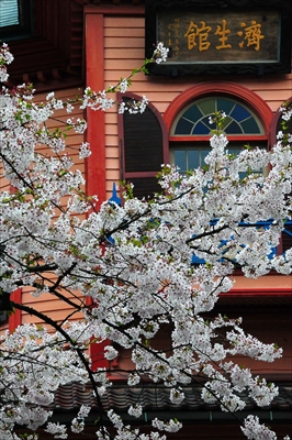 1045_山形市郷土館_山形