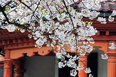 山形市郷土館_山形