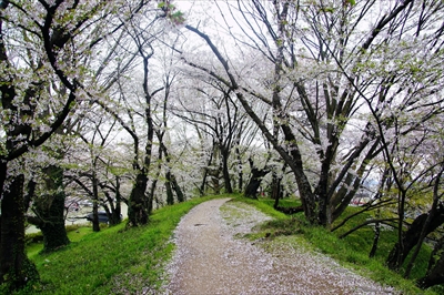 霞城公園_山形