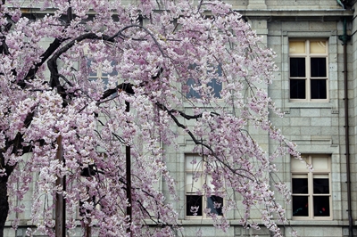 1034_山形県郷土館文翔館_山形