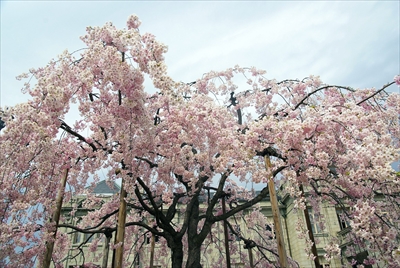 1040_山形県郷土館文翔館_山形