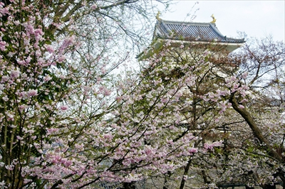 1086_上山城_山形