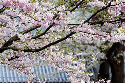 1087_上山城_山形