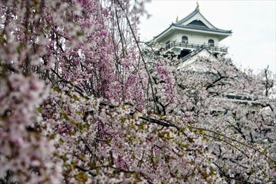 1089_上山城_山形