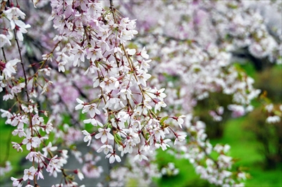 1090_上山城_山形