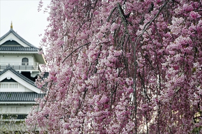 1092_上山城_山形