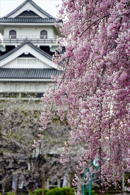 1093_上山城_山形