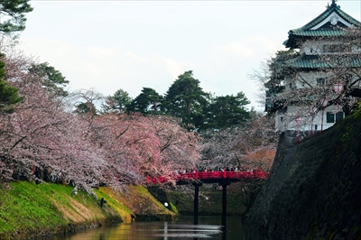 1029_弘前公園_青森