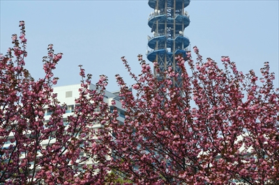 1058_なとみらい_神奈川