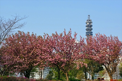 なとみらい_神奈川