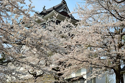 1020_横手城_秋田