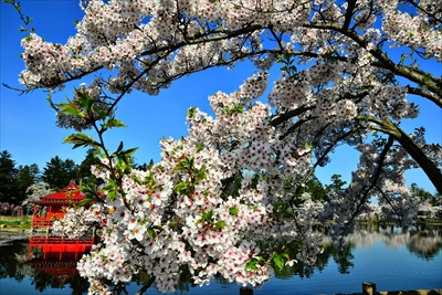 1007_猿賀公園_青森