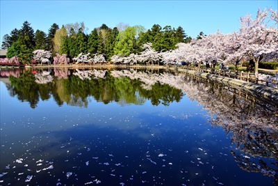 1008_猿賀公園_青森