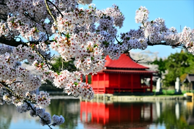 1009_猿賀公園_青森
