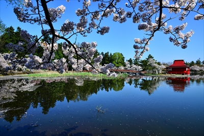 1037_猿賀公園_青森