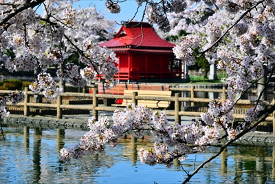 1040_猿賀公園_青森