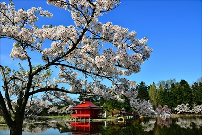 1043_猿賀公園_青森
