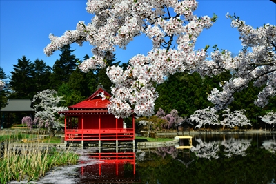 1045_猿賀公園_青森