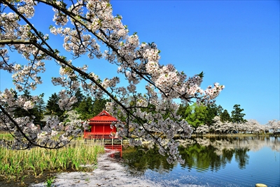 1047_猿賀公園_青森