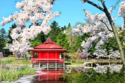 1048_猿賀公園_青森