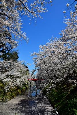 1044_弘前公園_青森