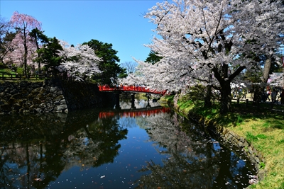 1047_弘前公園_青森